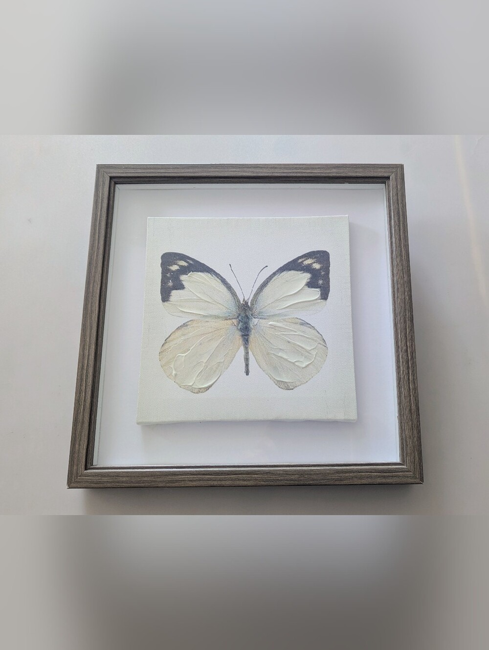 Nielsen Bainbridge Group Butterfly Art In Shadow Box 10.5"x10.5"x1.25"